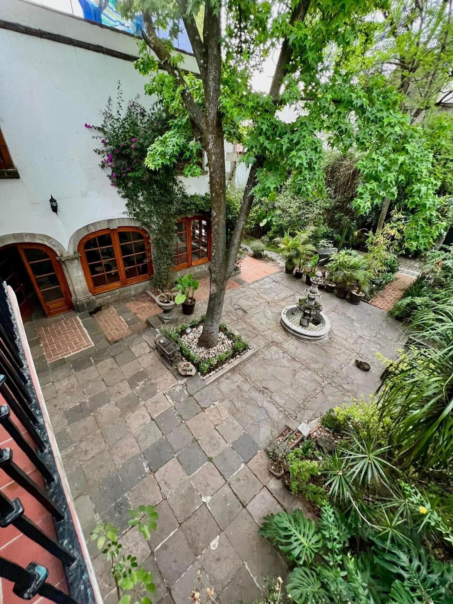 Boutique Hotel And Gallery In San Angel Inn Mexico City Exteriör bild